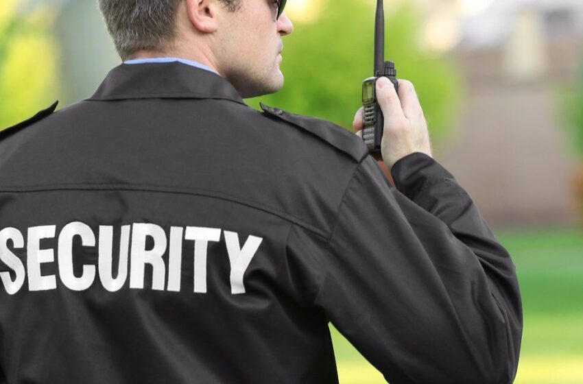  The 10 Best Security Guard Jobs in the Auto Industry